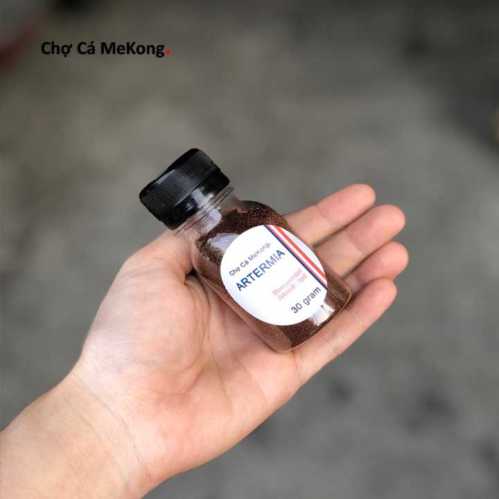 atermia trứng atermia