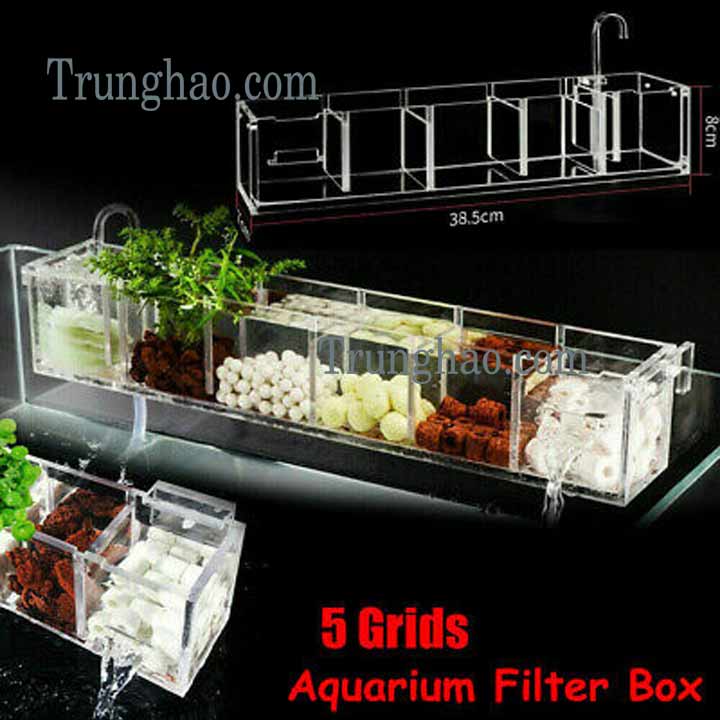 tác dụng sứ lọc nước hồ cá