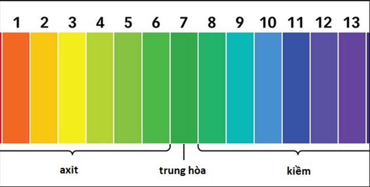 thang-mau-ph-5 thang màu pH
