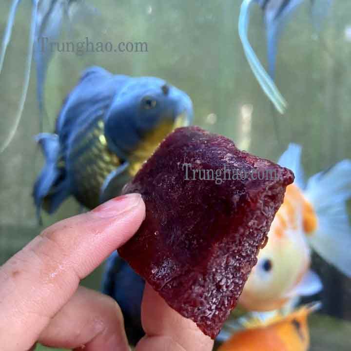 trung-huyet Trùng huyết
