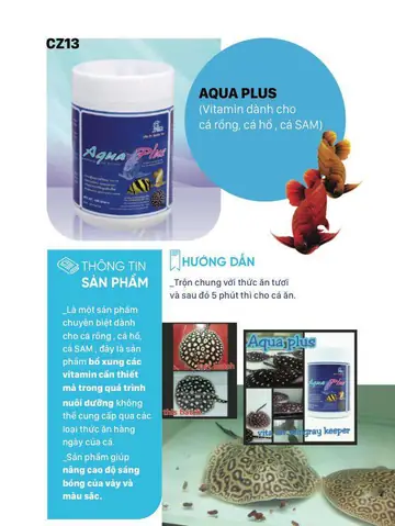 Aqua Plus Cho Cá Rồng