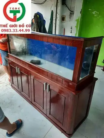 Bán Bể Cá Rồng Cũ Tại Hà Nội