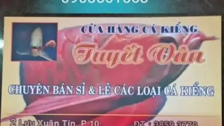 Bán Cá Axolotl Tại Tphcm