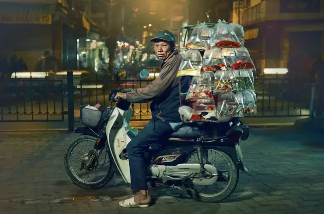 Bán Cá Cảnh Bà Rịa