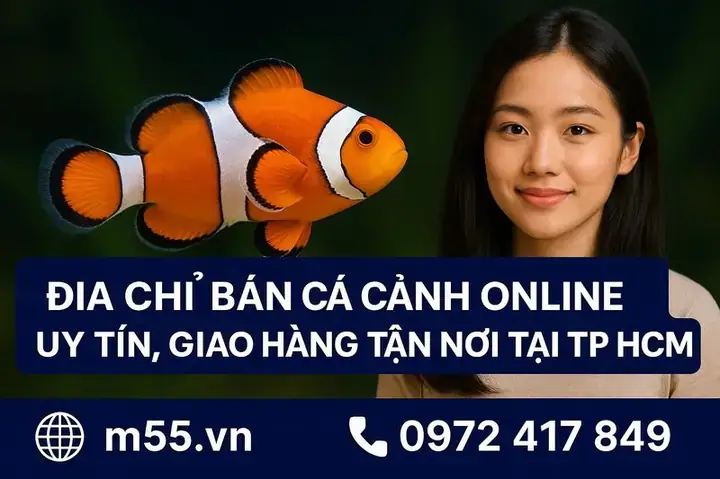 Bán Cá Cảnh Giao Hàng Tận Nơi
