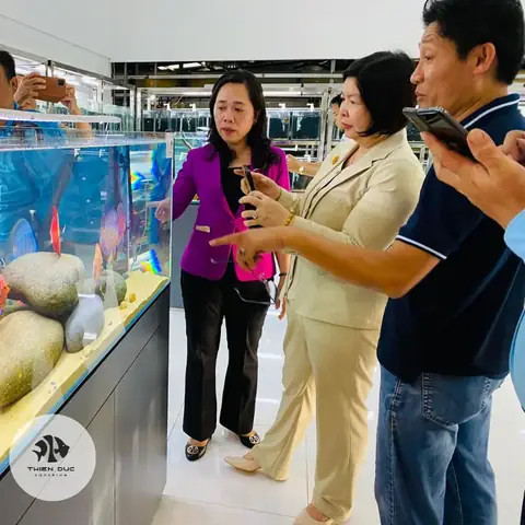 Bán Cá Cảnh Online Tphcm