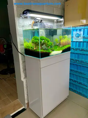 Bàn Gỗ Để Hồ Cá
