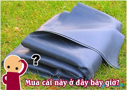 Bạt Lót Hồ Cá Hà Nội