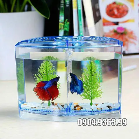 Bể Cá 2 Ngăn