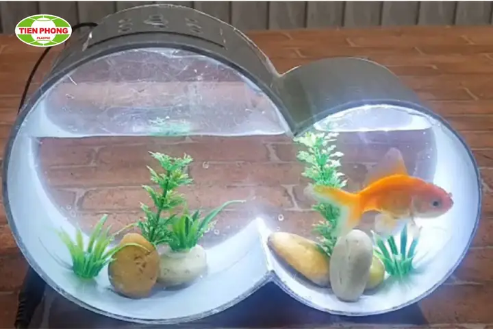 Bể Cá Bằng Ống Nhựa