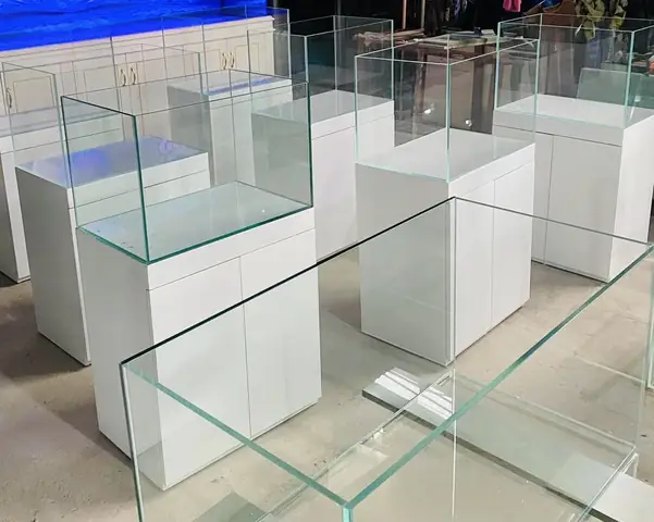 Be Cá Cảnh Giá Rẻ