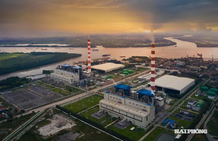 Bể Cá Cảnh Thanh Lý Ở Hải Phòng
