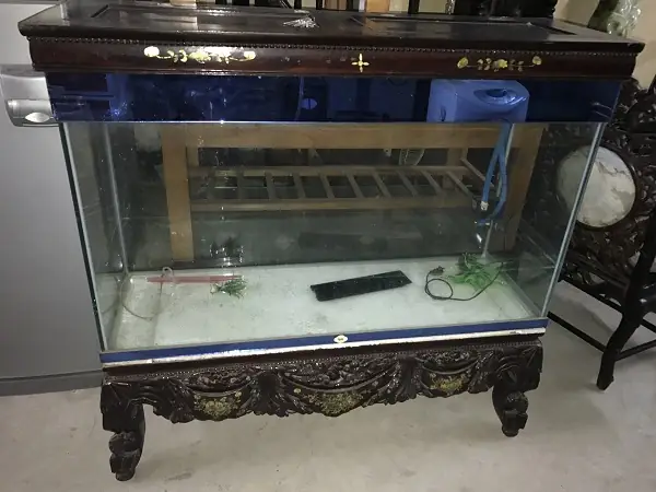 Bể Cá Cảnh Thanh Lý Rẻ