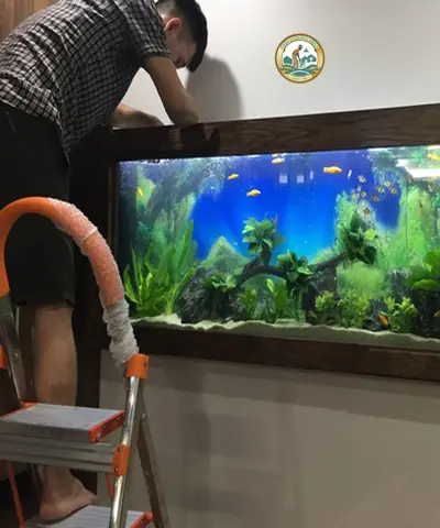 Bể Cá Cảnh Treo Tường Tại Hà Nội