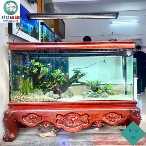 Bể Cá Chân Quỳ Cũ