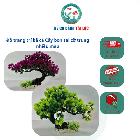 Bể Cá Cỡ Trung
