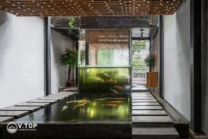 Bể Cá Dưới Nền Nhà