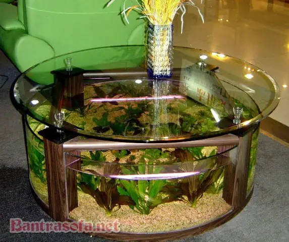Bể Cá Kết Hợp Bàn Uống Nước