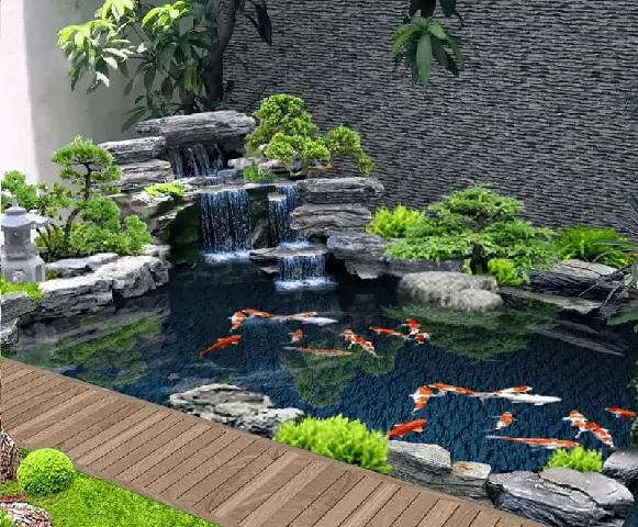Bể Cá Koi Sân Vườn