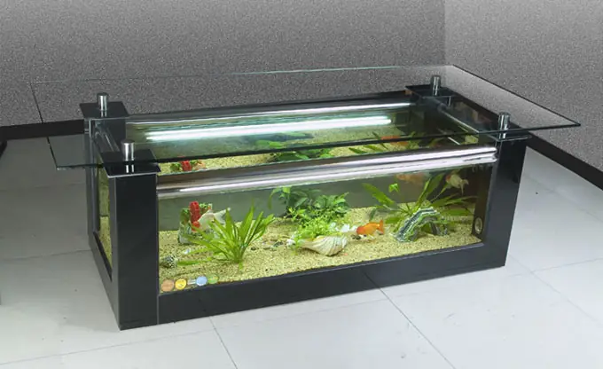 Bể Cá Làm Bàn Uống Nước