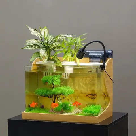 Bể Cá Mini Khung Gỗ