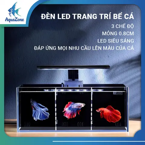 Bể Cá Mini Lazada