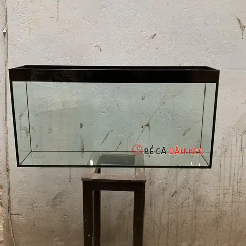 Bể Cá Mini Treo Tường Bể Cá Mini Treo Tường