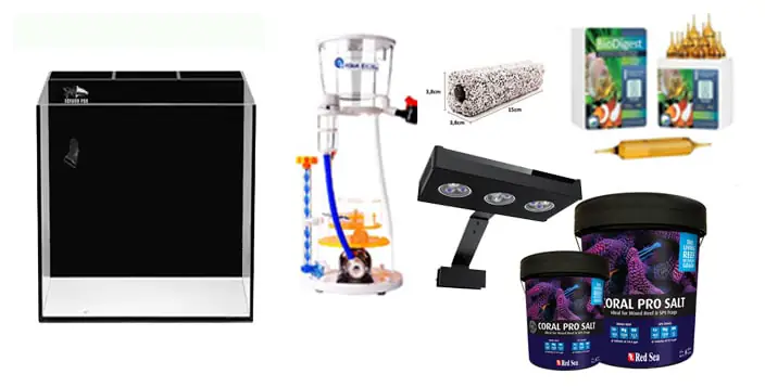 Bể Cá Nước Mặn Cần Những Gì