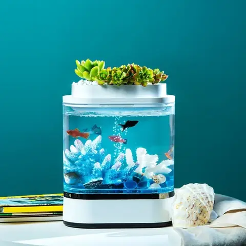 Bể Cá Thủy Sinh Hfjh Mini