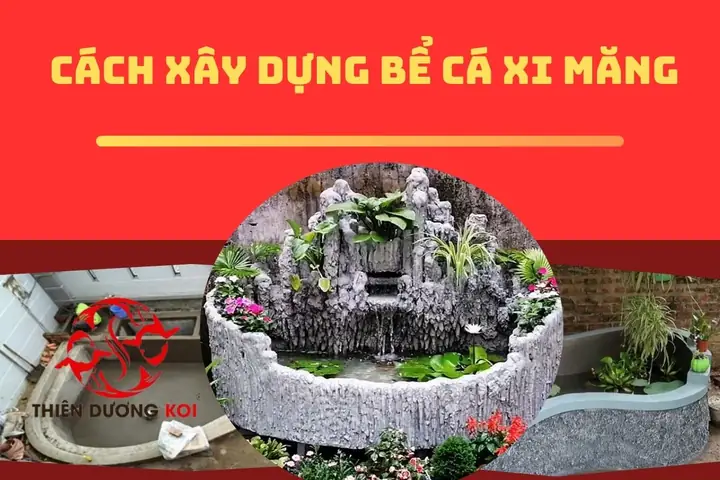 Bể Cá Xi Măng Trong Nhà