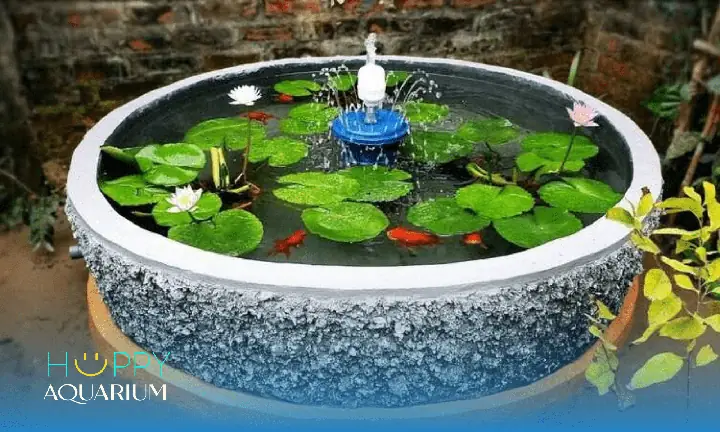 Bể Nuôi Cá Cảnh Bằng Xi Măng