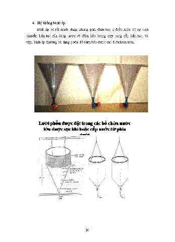 Bình Vây Ấp Trứng Cá