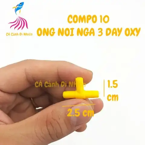 Bộ Oxy Cho Cá