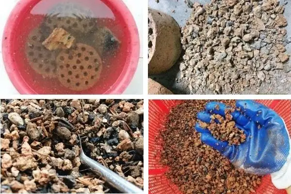 Bỏ Than Đá Vào Hồ Cá