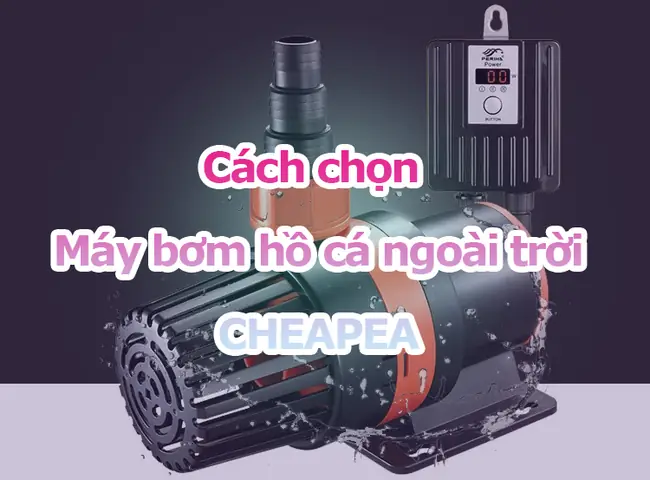 Bơm Hồ Cá Để Ngoài