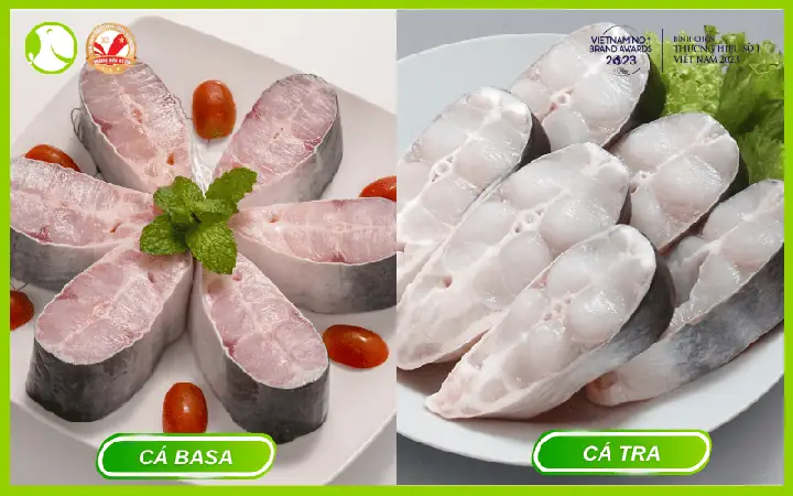 Cá Basa Giá Trị Dinh Dưỡng