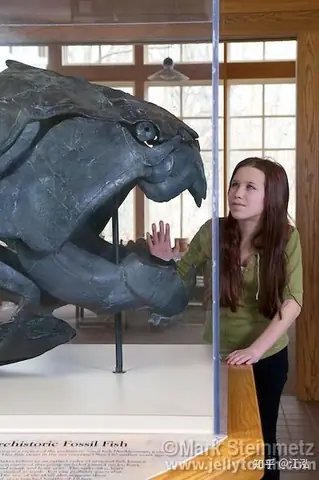 Cá Bọc Thép Dunkleosteus