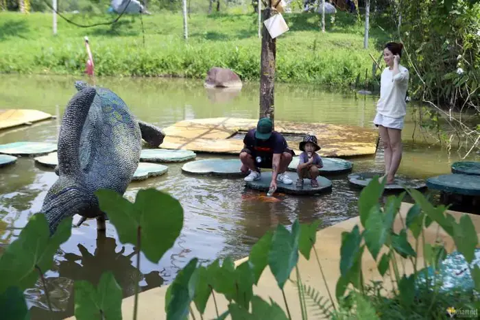 Cá Bú Bình Ở Khánh Hòa