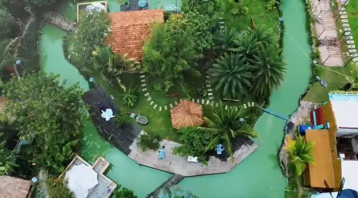 Cá Cảnh Hồng Anh Đà Nẵng