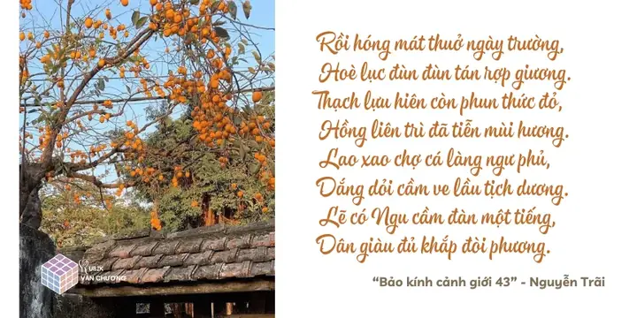Cá Cảnh Nguyễn Trãi