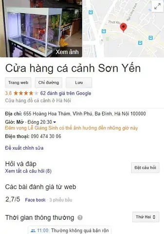 Cá Cảnh Yến Sơn