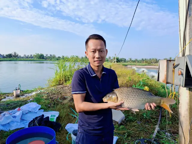 Cá Chép Giống Mới