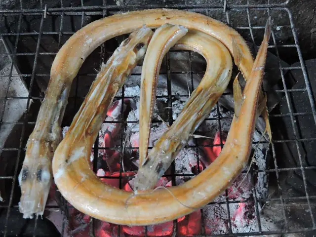 Cá Chìa Vôi Trắng