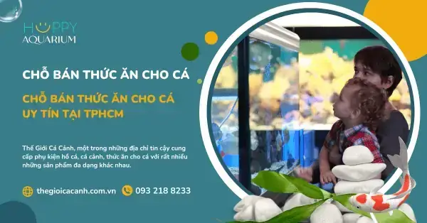 Cá Coi Giá Bao Nhiêu