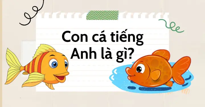 Cá Giống Tiếng Anh Là Gì