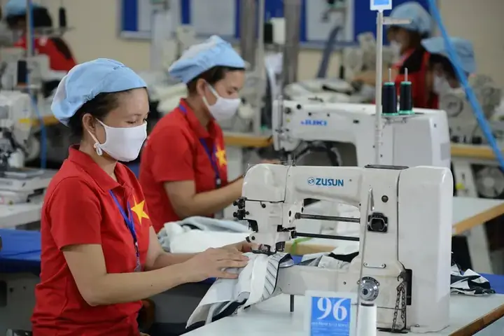 Cá Hà Lan Bị Nấm