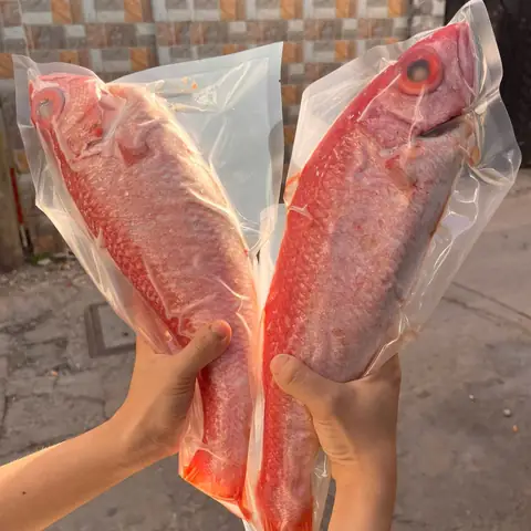 Cá Hồng Đào Biển