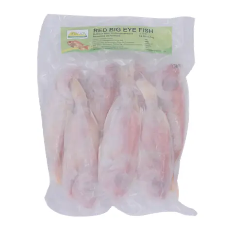 Cá Kim Sơn Mắt Đỏ