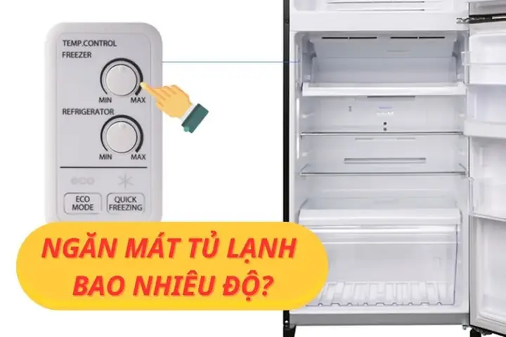 Cá Koi Chịu Lạnh Bao Nhiêu Độ