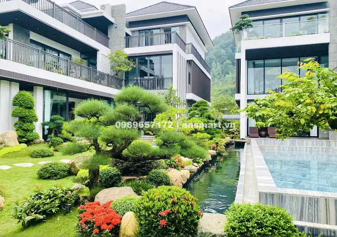 Cá Koi Đồng Nai